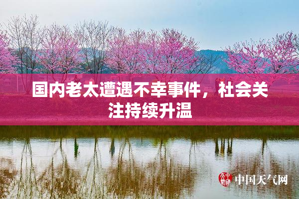 国内老太遭遇不幸事件，社会关注持续升温
