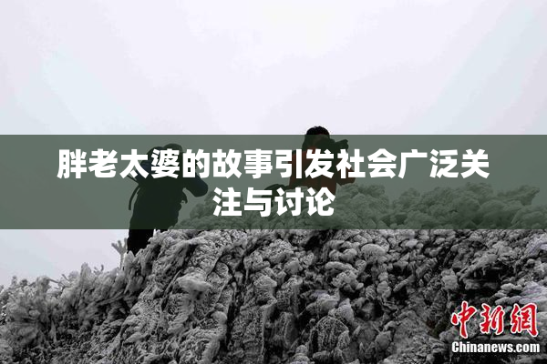 胖老太婆的故事引发社会广泛关注与讨论