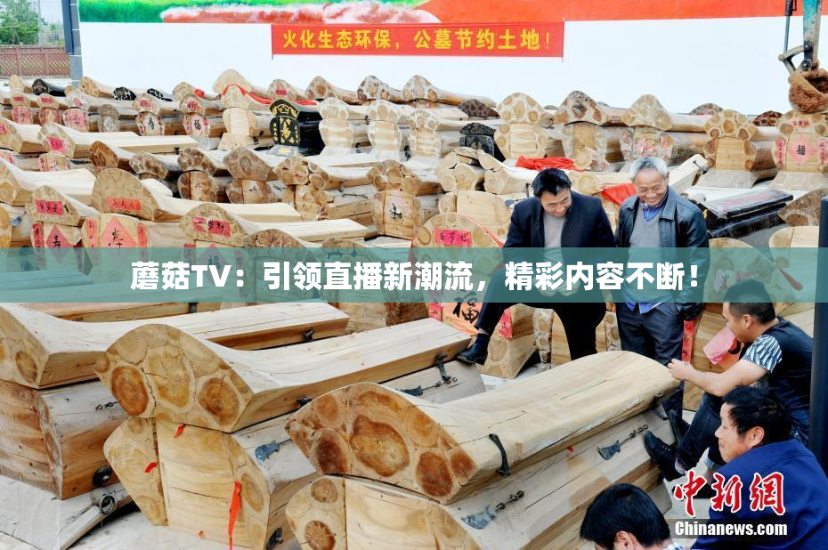 蘑菇TV：引领直播新潮流，精彩内容不断！