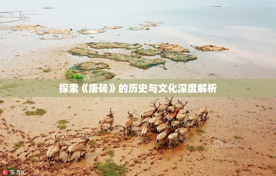 探索《唐砖》的历史与文化深度解析