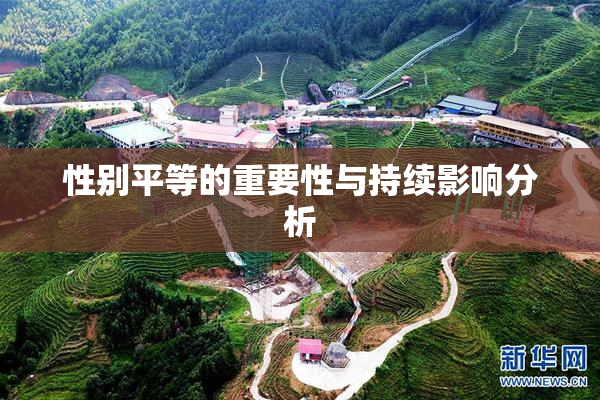性别平等的重要性与持续影响分析