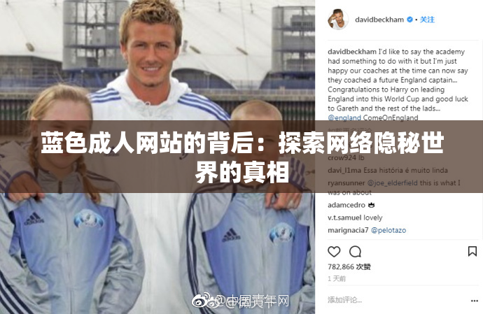 蓝色成人网站的背后：探索网络隐秘世界的真相