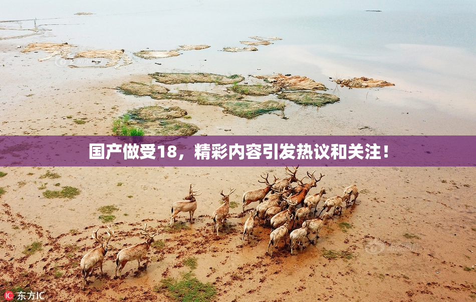 国产做受18，精彩内容引发热议和关注！
