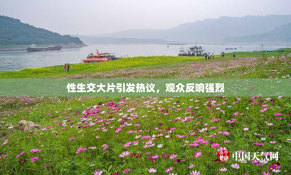 性生交大片引发热议，观众反响强烈