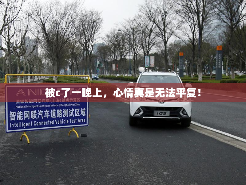 被c了一晚上，心情真是无法平复！