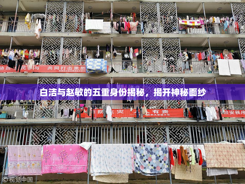 白洁与赵敏的五重身份揭秘，揭开神秘面纱