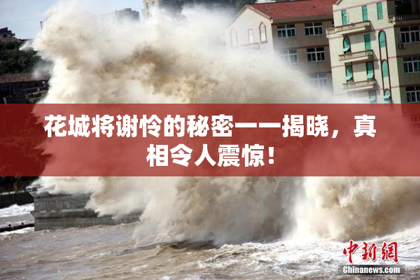 花城将谢怜的秘密一一揭晓，真相令人震惊！