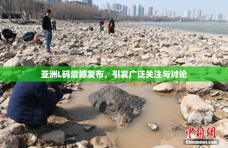 亚洲L码震撼发布，引发广泛关注与讨论