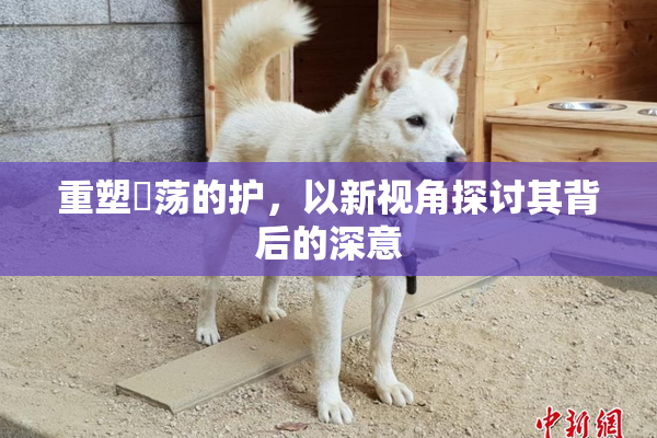 重塑婬荡的护，以新视角探讨其背后的深意