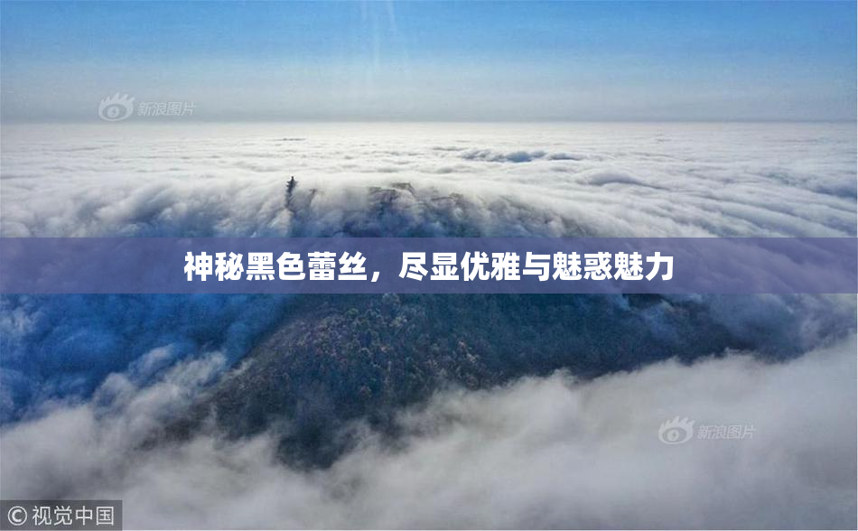神秘黑色蕾丝，尽显优雅与魅惑魅力