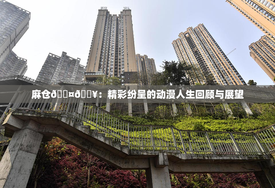 麻仓🖤🔥：精彩纷呈的动漫人生回顾与展望
