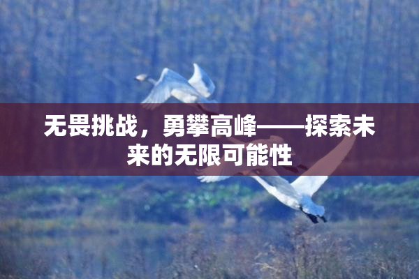 无畏挑战，勇攀高峰——探索未来的无限可能性