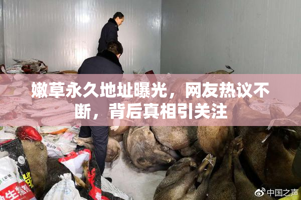嫩草永久地址曝光，网友热议不断，背后真相引关注