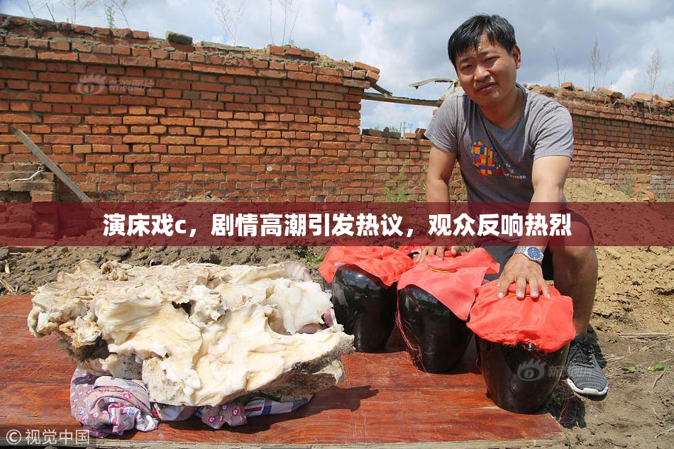 演床戏c，剧情高潮引发热议，观众反响热烈