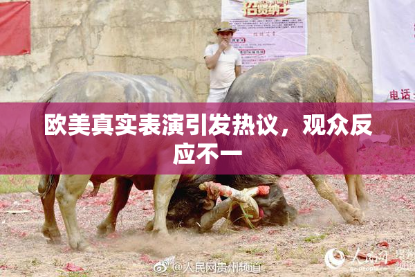 欧美真实表演引发热议，观众反应不一