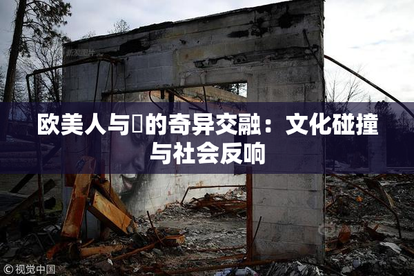 欧美人与嘼的奇异交融：文化碰撞与社会反响