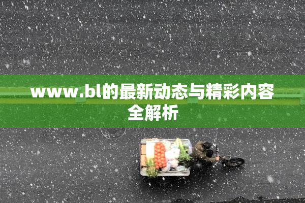 www.bl的最新动态与精彩内容全解析