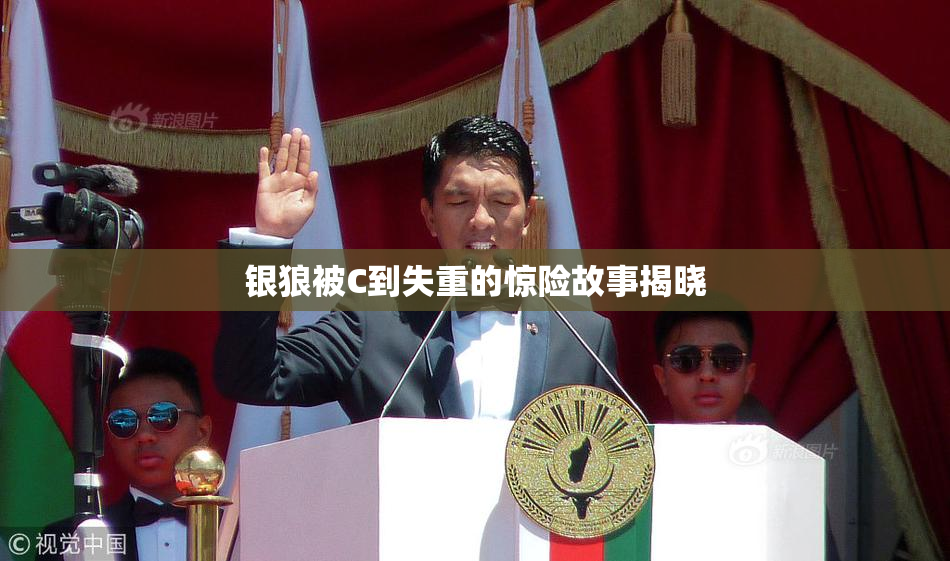 银狼被C到失重的惊险故事揭晓
