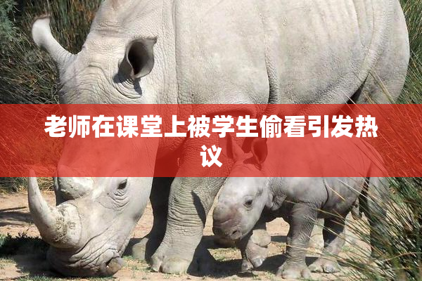 老师在课堂上被学生偷看引发热议