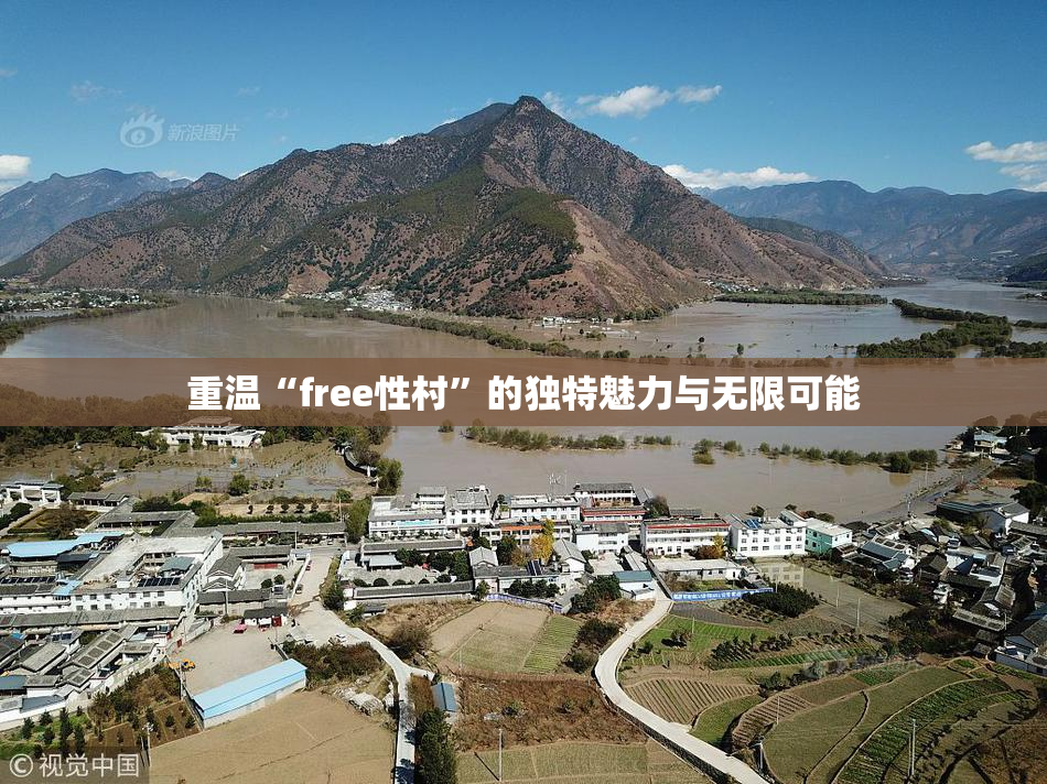 重温“free性村”的独特魅力与无限可能