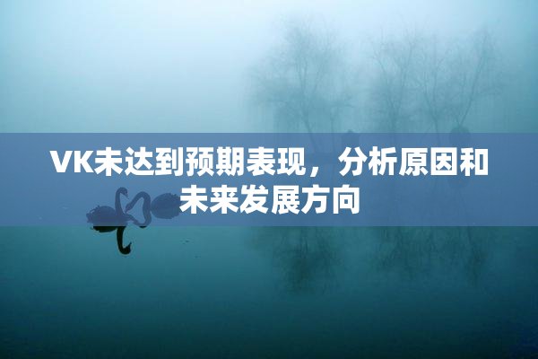 VK未达到预期表现，分析原因和未来发展方向
