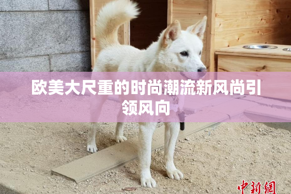 欧美大尺重的时尚潮流新风尚引领风向