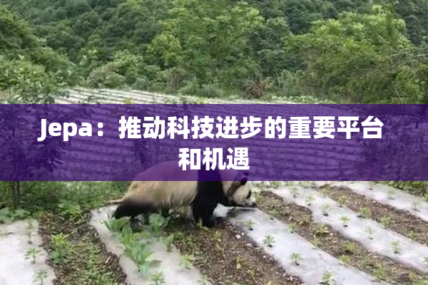 Jepa：推动科技进步的重要平台和机遇