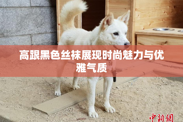 高跟黑色丝袜展现时尚魅力与优雅气质