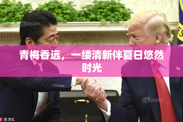 青梅香远，一缕清新伴夏日悠然时光