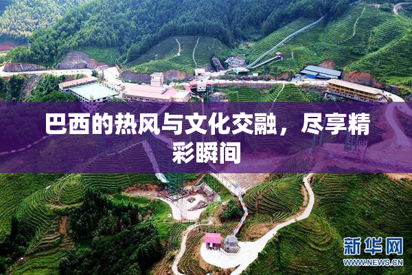 巴西的热风与文化交融，尽享精彩瞬间