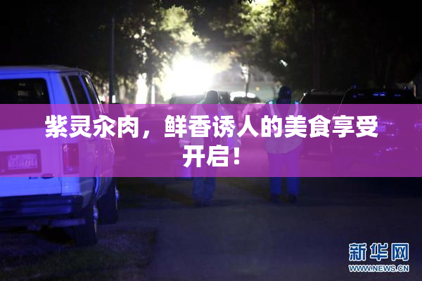 紫灵汆肉，鲜香诱人的美食享受开启！