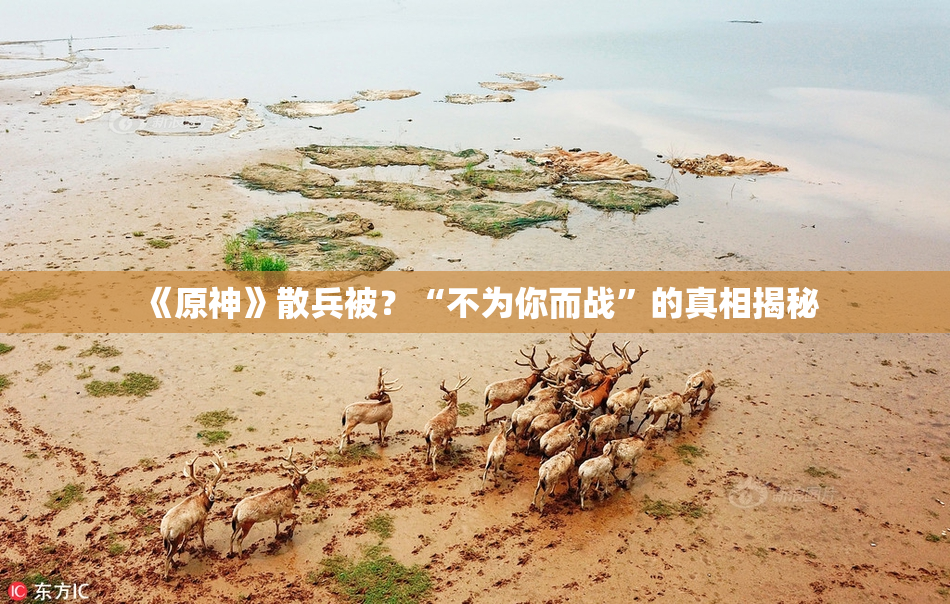 《原神》散兵被？“不为你而战”的真相揭秘
