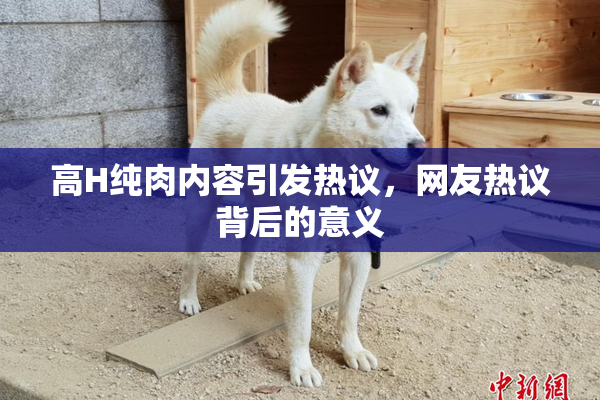 高H纯肉内容引发热议，网友热议背后的意义