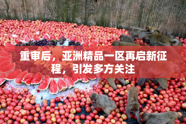 重审后，亚洲精品一区再启新征程，引发多方关注