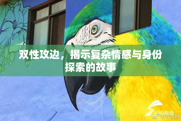 双性攻边，揭示复杂情感与身份探索的故事