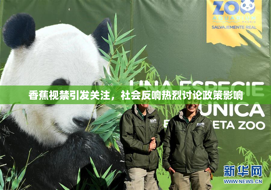 香蕉视禁引发关注，社会反响热烈讨论政策影响