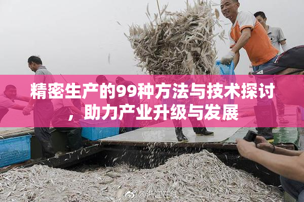 精密生产的99种方法与技术探讨，助力产业升级与发展