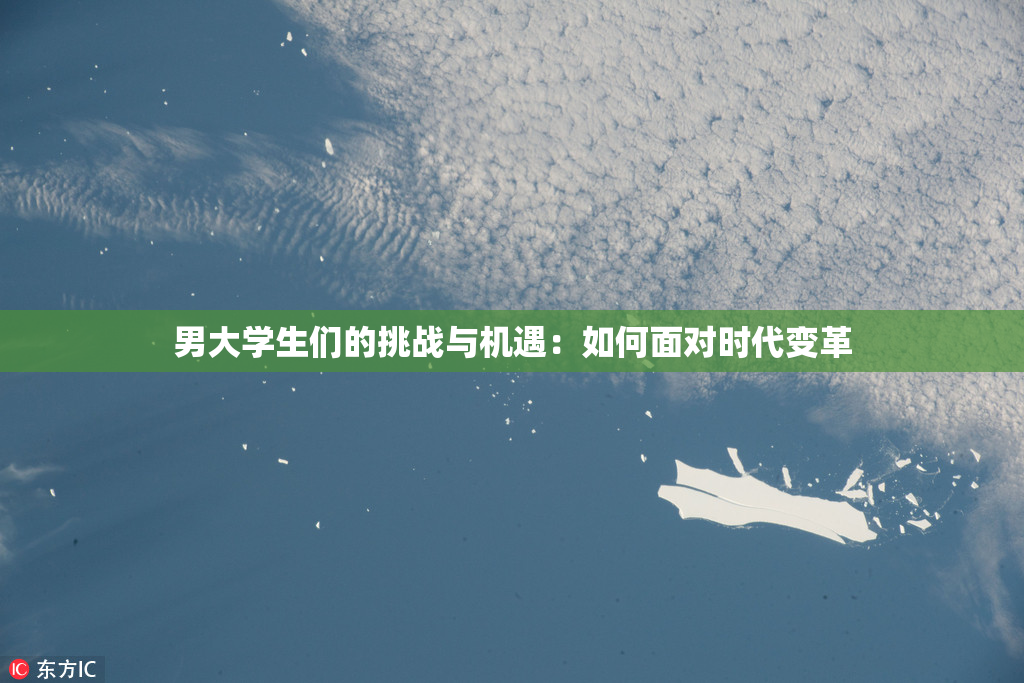 男大学生们的挑战与机遇：如何面对时代变革