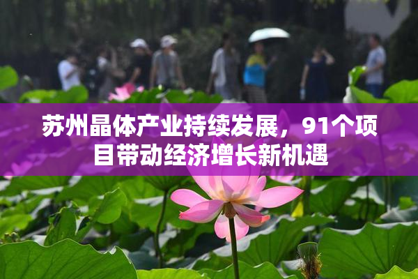 苏州晶体产业持续发展，91个项目带动经济增长新机遇