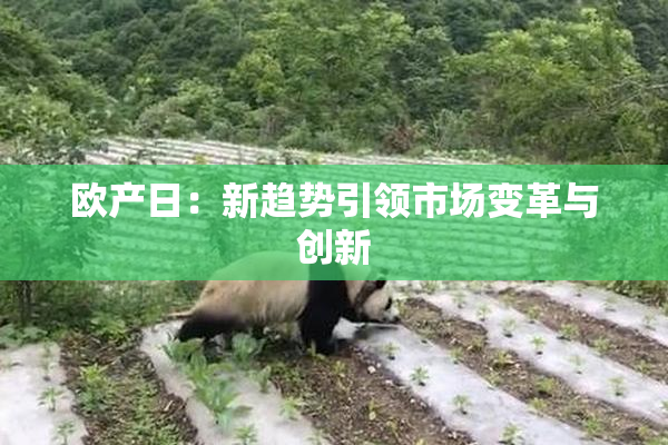 欧产日：新趋势引领市场变革与创新