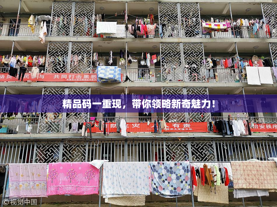 精品码一重现，带你领略新奇魅力！