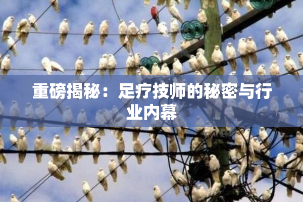 重磅揭秘：足疗技师的秘密与行业内幕