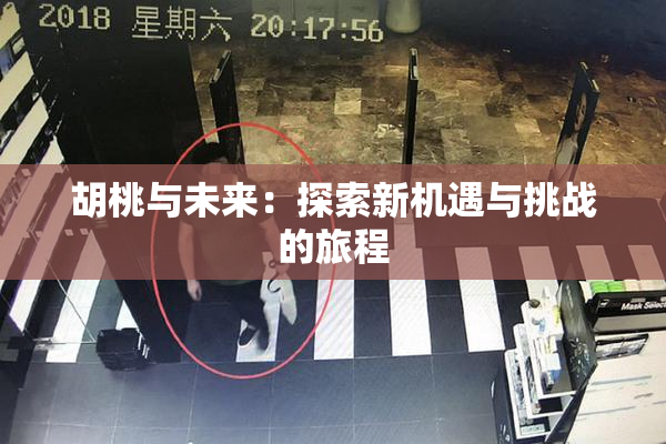 胡桃与未来：探索新机遇与挑战的旅程
