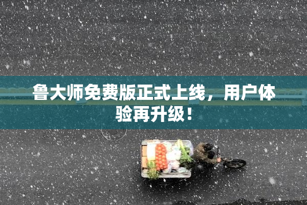 鲁大师免费版正式上线，用户体验再升级！