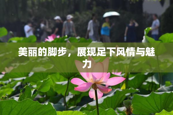美丽的脚步，展现足下风情与魅力