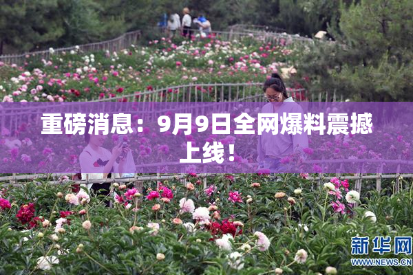重磅消息：9月9日全网爆料震撼上线！