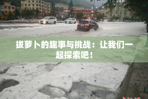 拔萝卜的趣事与挑战：让我们一起探索吧！