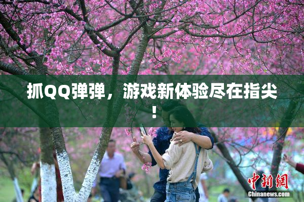 抓QQ弹弹，游戏新体验尽在指尖！