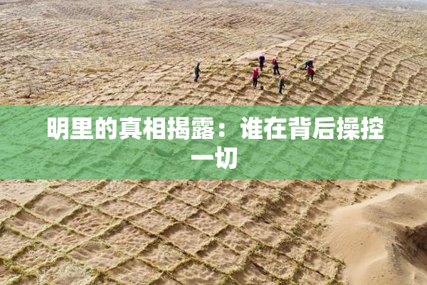 明里的真相揭露：谁在背后操控一切