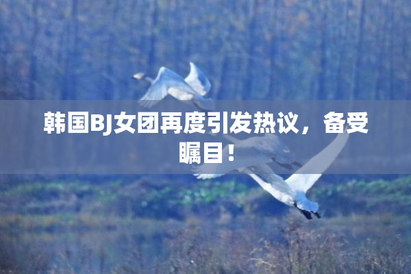 韩国BJ女团再度引发热议，备受瞩目！